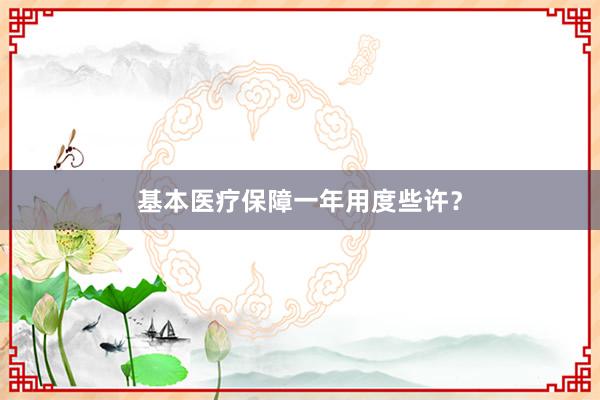 基本医疗保障一年用度些许?