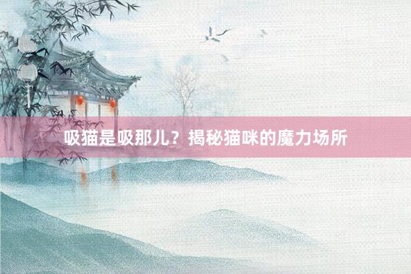 吸猫是吸那儿?揭秘猫咪的魔力场所