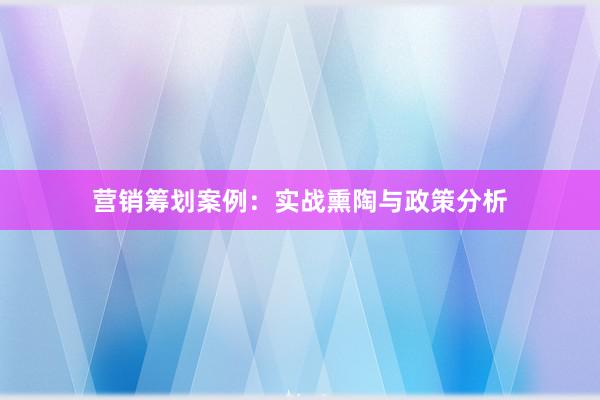 营销筹划案例：实战熏陶与政策分析